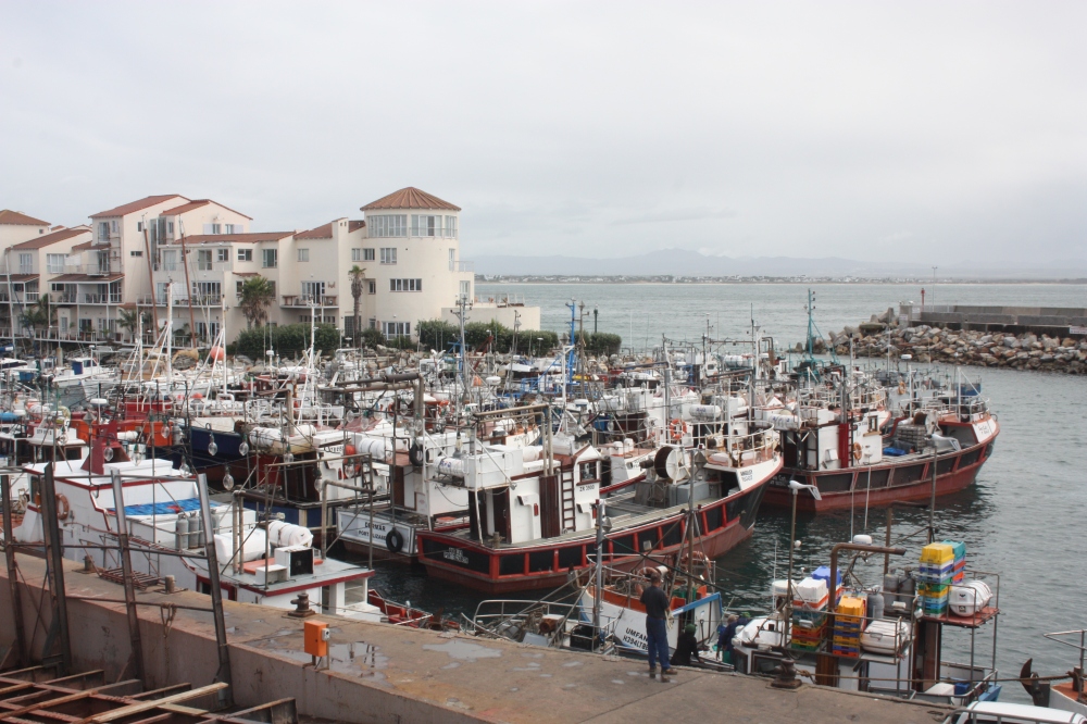 Fishing boats lying idle at the harbour in St Francis bay and cannot go out at the moment as there are no squid to catch.